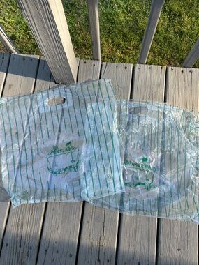 Masters Plastic Clear/Handles Green-Striped Reusable Shopping Bags - Set of 2